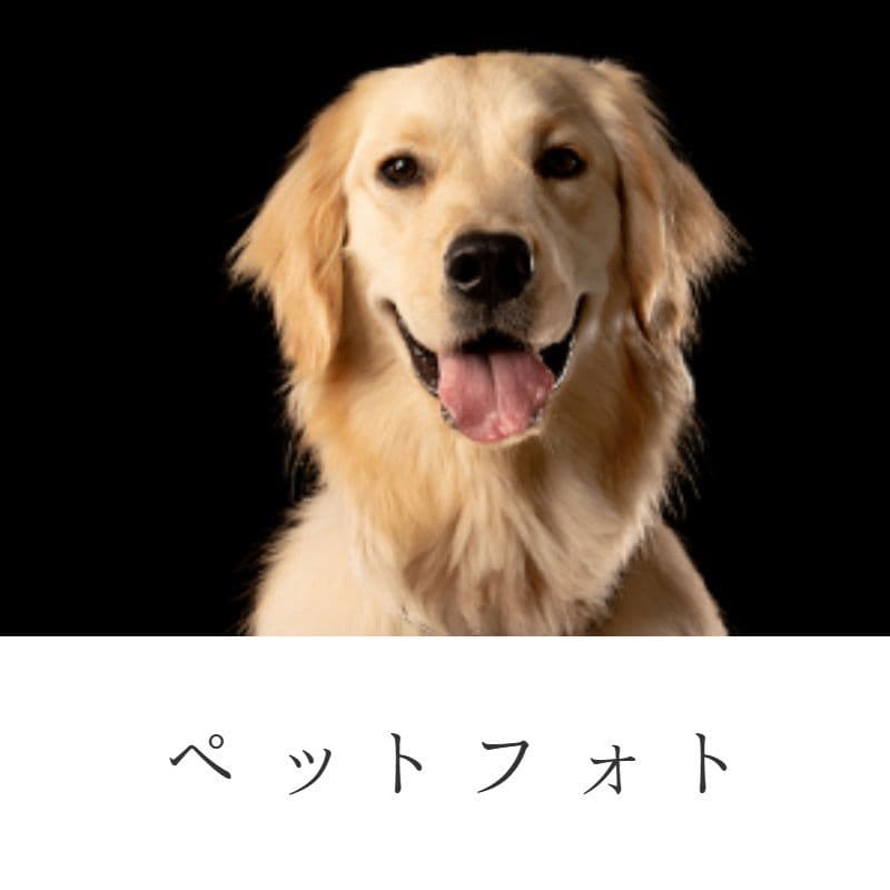 お宮参りアイコン